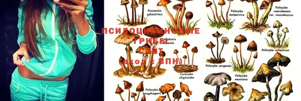 герыч Бугульма