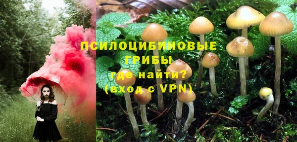 герыч Бугульма