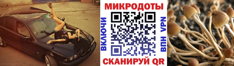 Галлюциногенные грибы Psilocybine cubensis закладка omg ССЫЛКА Обь