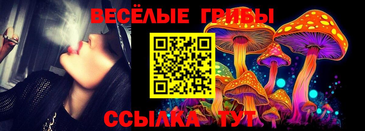 Галлюциногенные грибы Magic Shrooms Обь